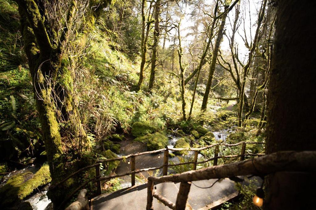 Taylor Creek Lodge Gold Beach Exterior foto